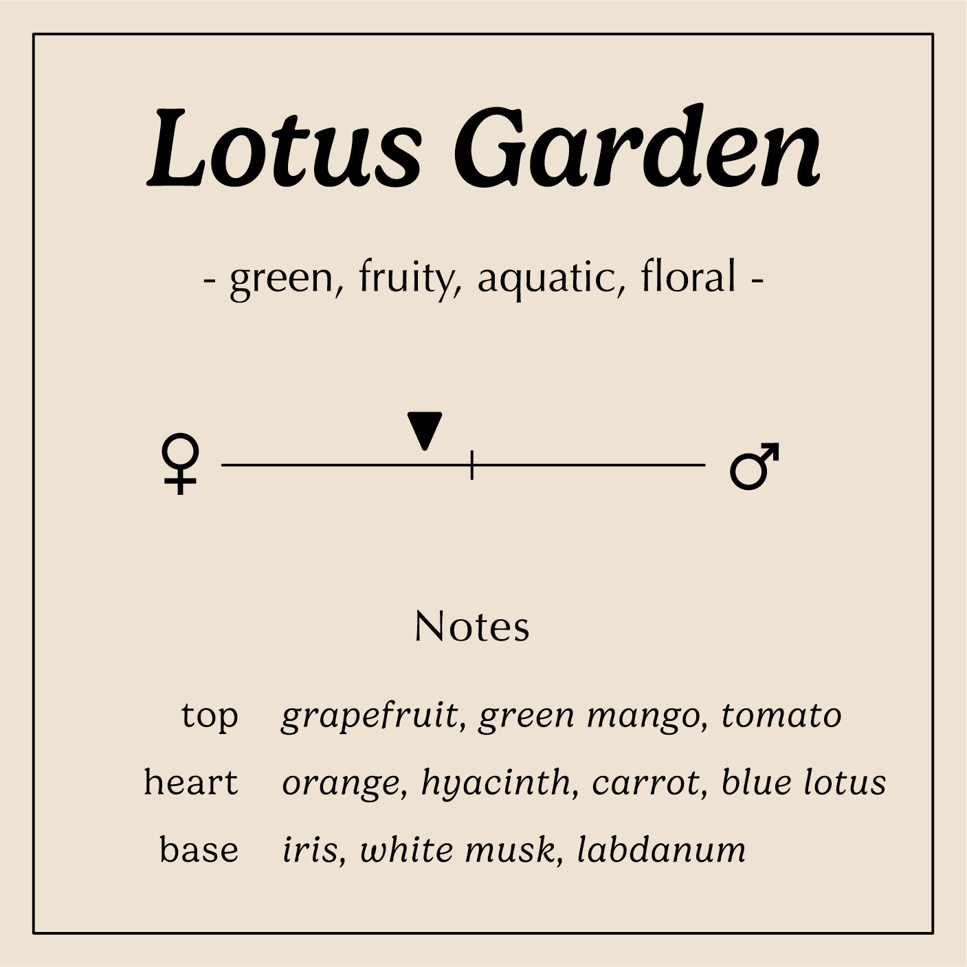 lotus garden description green fruity aquatic floral
Notes:
Grapefruit, Mango, Tomato
Orange, Hyacinth, Carrot, Lotus
Iris, White Musk, Labdanum